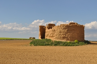 Tamariz