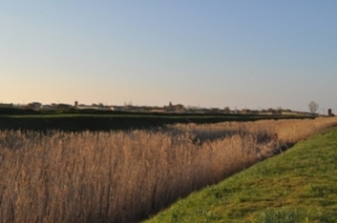 Pueblo