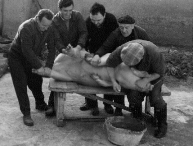matanza